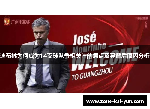 迪布林为何成为14支球队争相关注的焦点及其背后原因分析