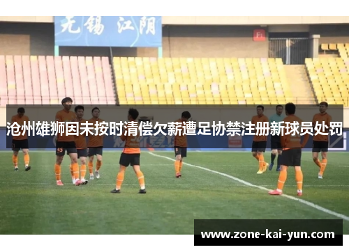 沧州雄狮因未按时清偿欠薪遭足协禁注册新球员处罚