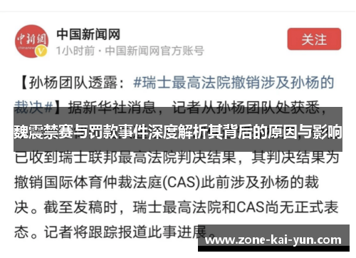 魏震禁赛与罚款事件深度解析其背后的原因与影响