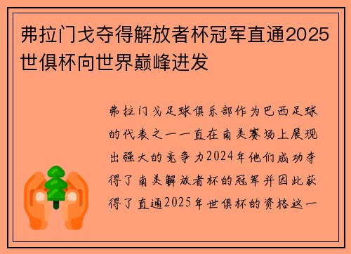 弗拉门戈夺得解放者杯冠军直通2025世俱杯向世界巅峰进发