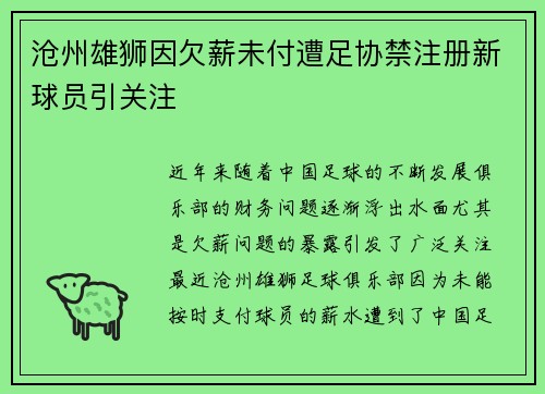沧州雄狮因欠薪未付遭足协禁注册新球员引关注