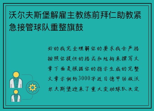 沃尔夫斯堡解雇主教练前拜仁助教紧急接管球队重整旗鼓